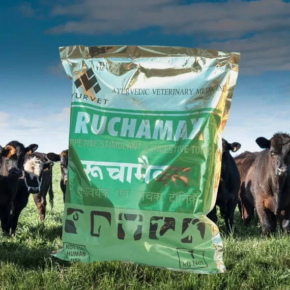 alt="Ruchamax bendőműködést, emésztést segítő por 1 kg"