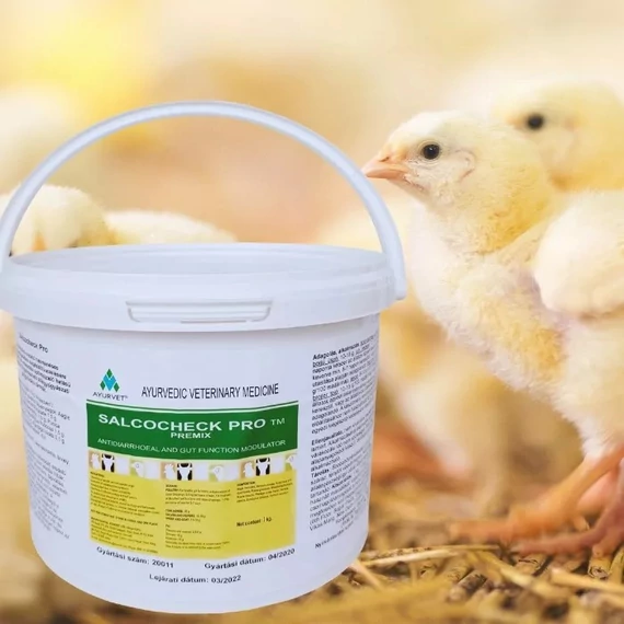 Salcochek Pro hasmenés elleni premix 1kg